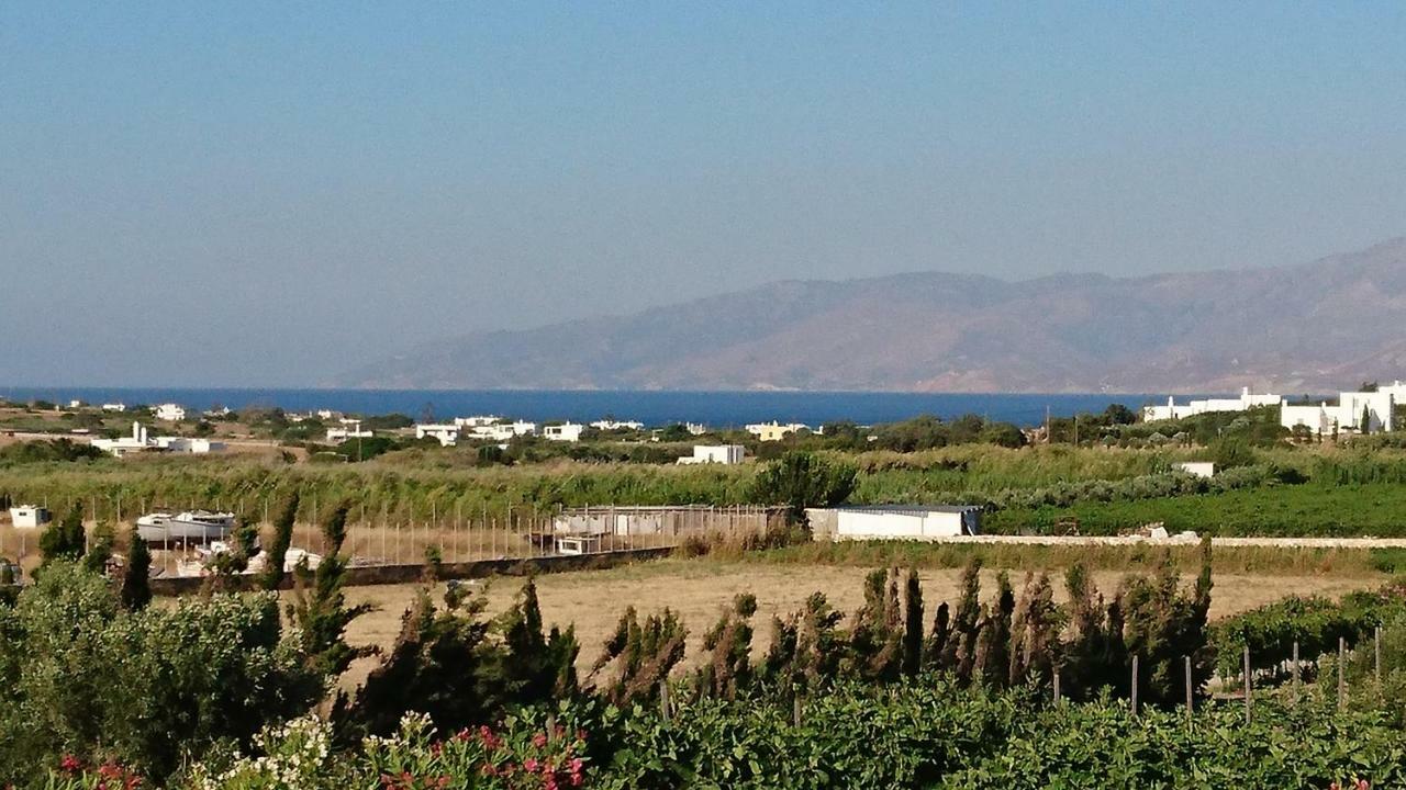 Villa Kampos Naousa-Marpisa Ambelas Exterior foto