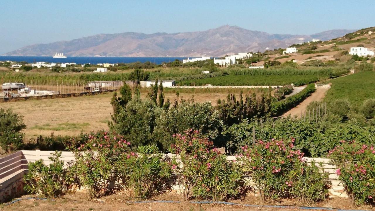 Villa Kampos Naousa-Marpisa Ambelas Exterior foto